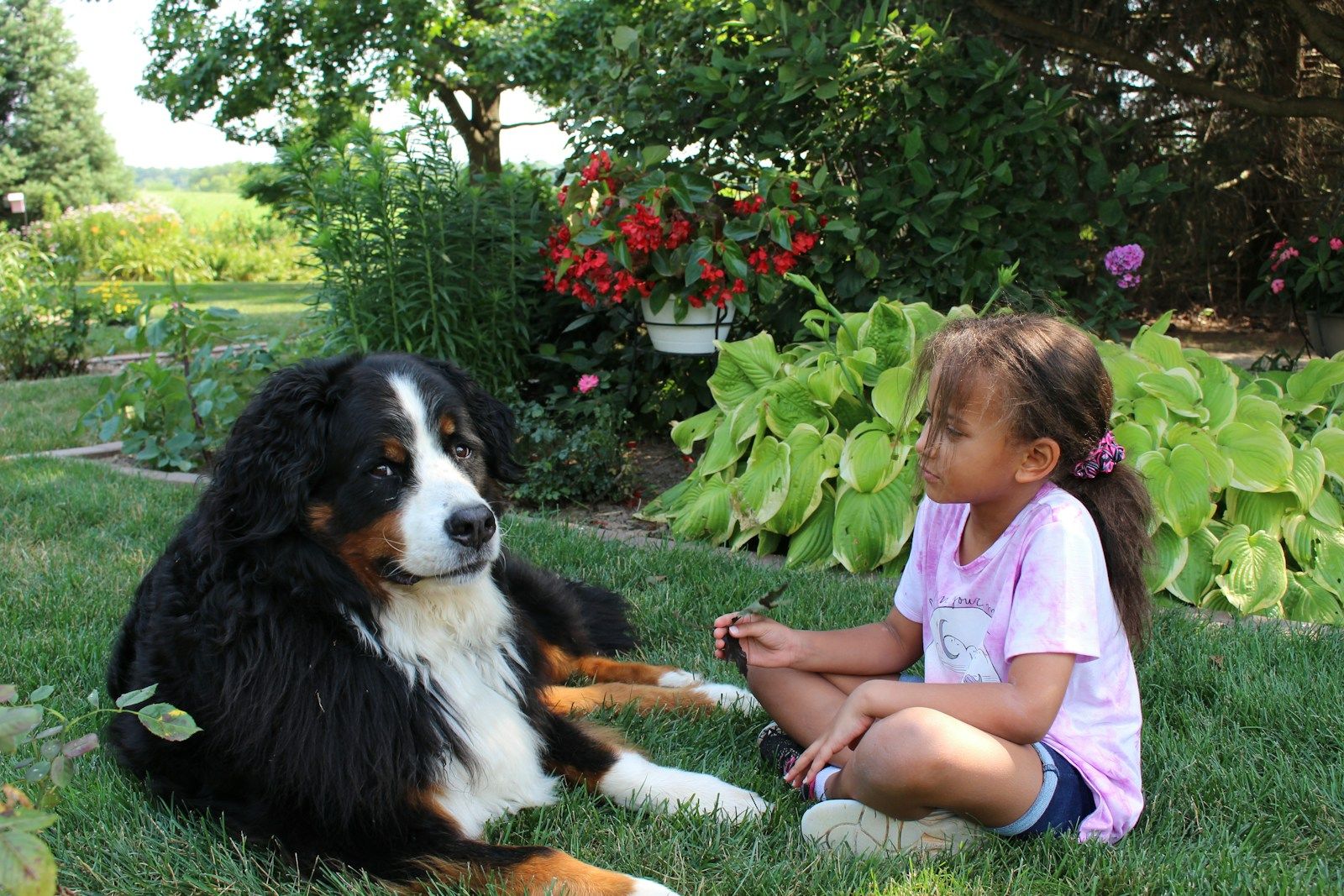 Girl in a pink shirt sitting with a large dog on a lawn
