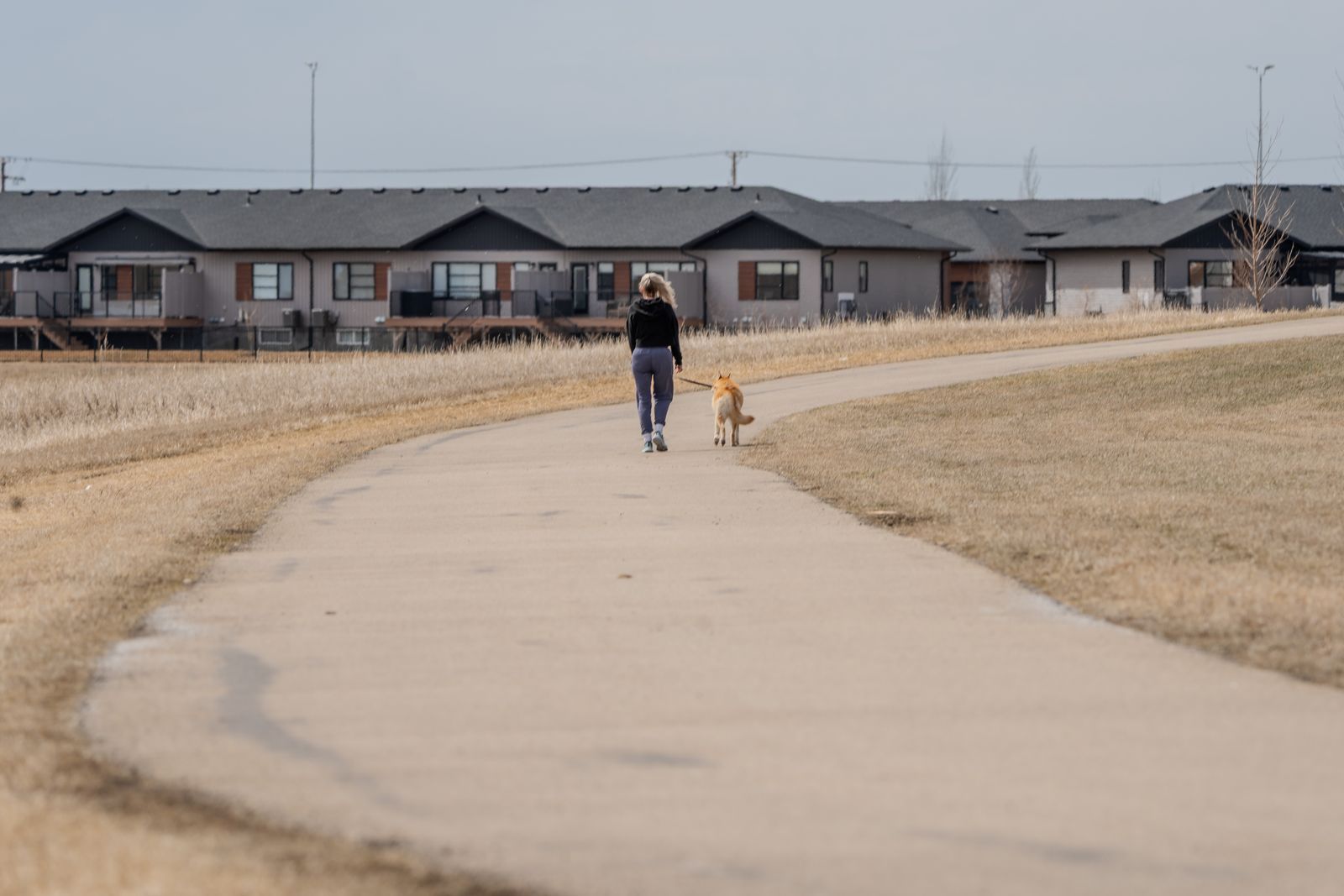 Person walking a dog along a suburban path lined with houses