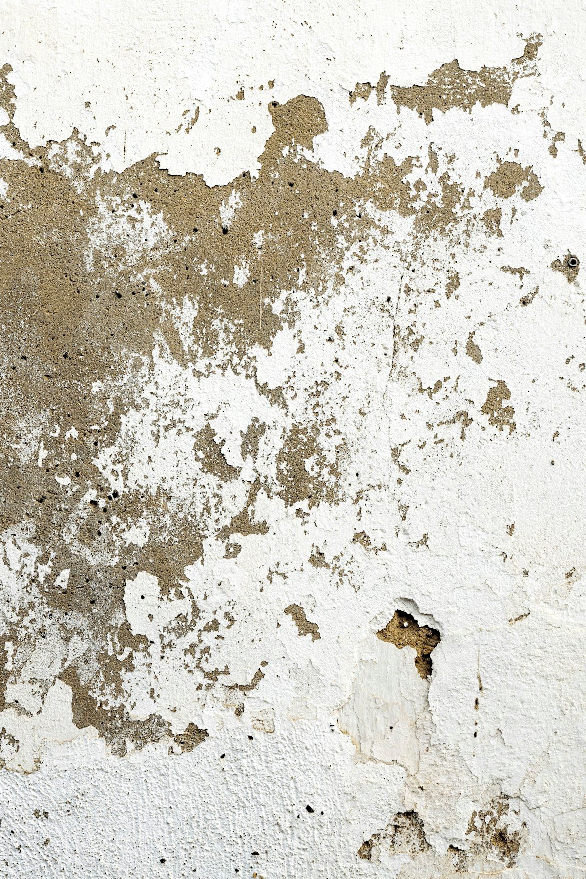 Dark mold discoloration across a pale interior wall
