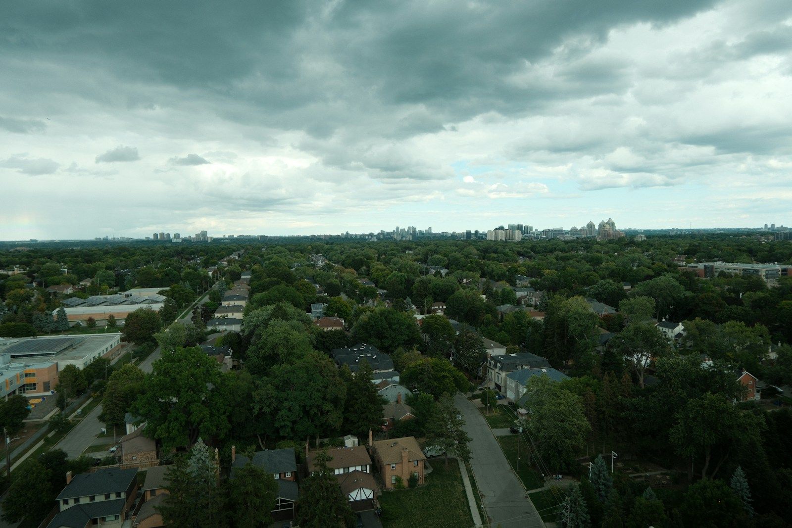 Tree-lined suburban neighborhood under dark storm clouds