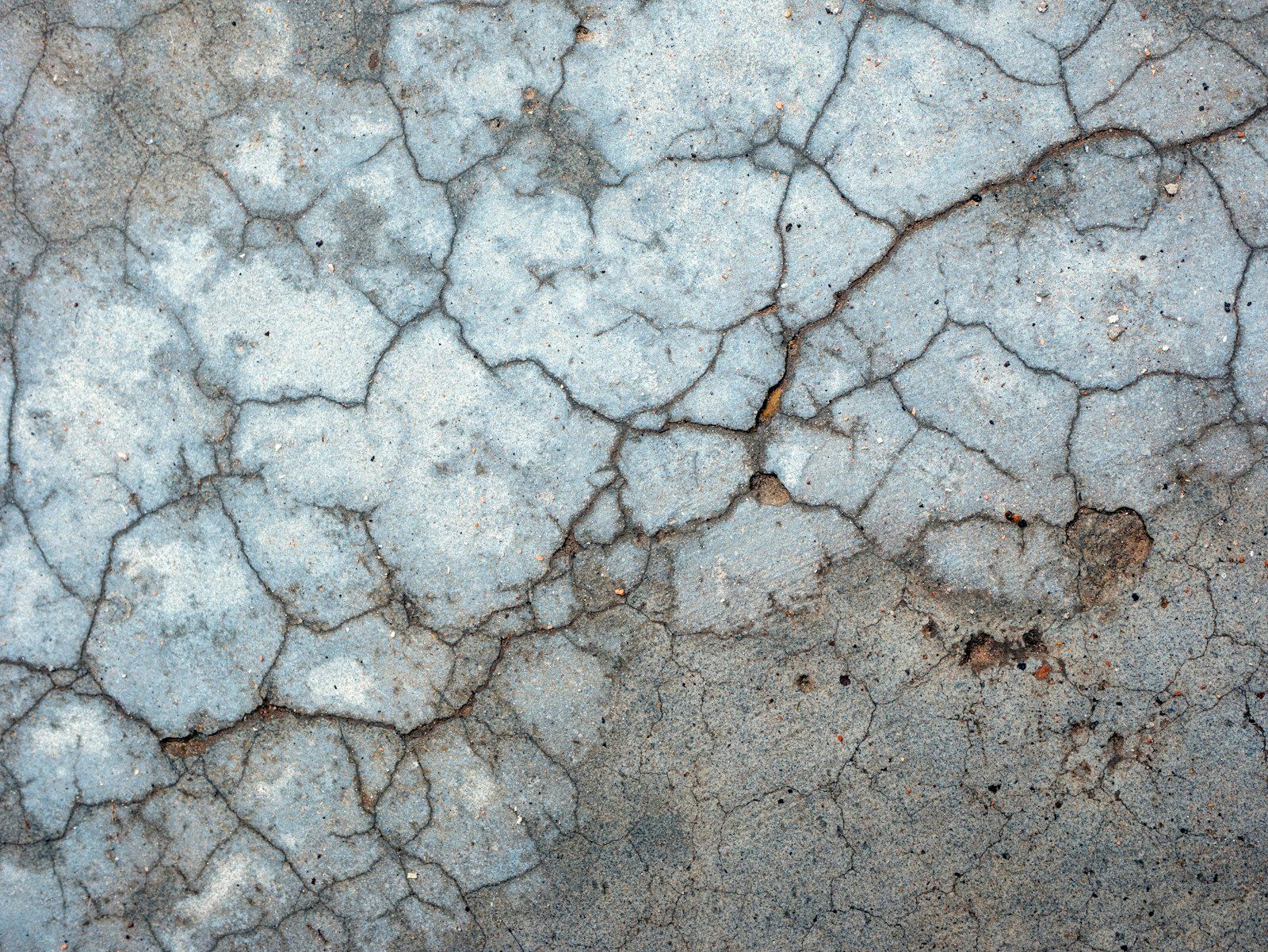 Close-up of a cracked gray concrete surface